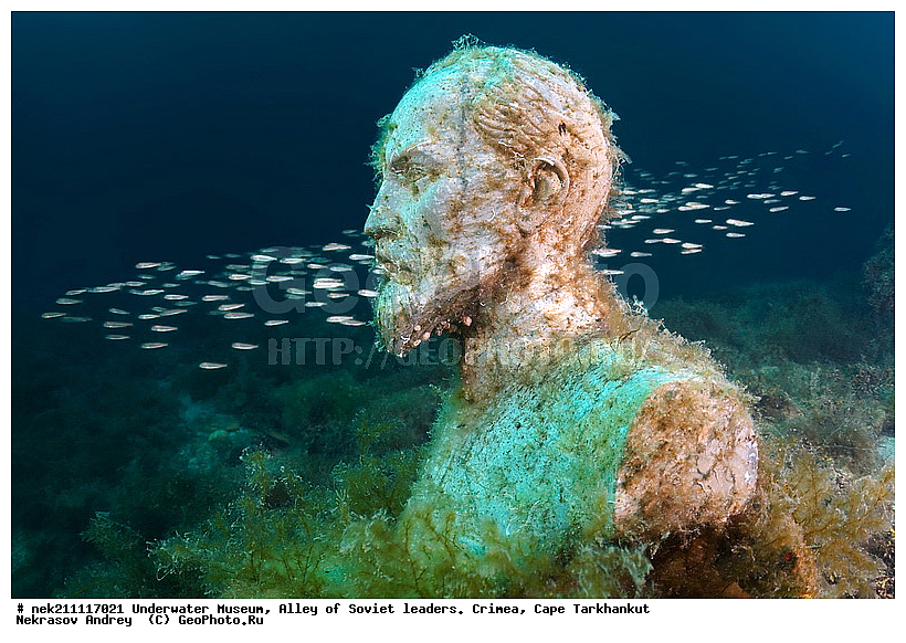 ����, ���� ������. ����, ���, �����������, ������������, ������������, ����, ������, ��������� ���, ��������� �����, �������, ������, ������ ���������� �����������, �������, �������, ��, ������� ����, ������ ����, ������, ������ ����, ���� ������, ���, ����������, ��������, ����, �, ���, ����, ������, ������, �����, ���������, ������, ������, �������, ������, �������, ���, ���, ��������, ����� ����, �����������, ���������������, �������������, �������������, ��������, ������������, �������, ����, ��������, ��������, ��������, ����, ��������, ��������������, ��������������, ���������, ����, �������, �������, �������, �����, ��� ���������, ��, �������� �������, ���������, ��������� ����, ���������, �����, ��������, ���������, �������, ����������, ���������� ��� ����, ���, ���������, ��������� ����������, ���������, ���������, ���������, ��������� ����������, ���������, ��������� �����, ��������� �����, ��� �����, ��������, ����������, ������������, ���, ����������, ������������, ����������, ����, ���� ���, ��������, ��������������, ������������, ������������, ������������