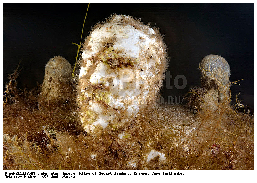 2, ����, ���� ������. ����, ����, �������, ������� 2, �������, �������, ��������� ���, ��������� �����, �������, ��������, ��������, ������, ����������, �����������, �����������, �������, ��������, ��������, �������, ������� ����, ������ ����, ������, ������ ����, ���� ������, ���, ����, �, ���, ����, ������, ������, �����, ���������, ������, �������, ������, �������, ������, �������, ������, �������, ���, ���, ��������, ����� ����, �����������, ���������������, ���������, ����������, �������������, �������������, ��������, ������������, �������, ����, ��������, ��������, ��������, ����, ��������, ��������������, ��������������, ���������, ����, �������, �������, �������, �����, ��� ���������, ��, ���������, ��������� ����, ���������, �����, ��������, ���������, �������, ����������, ���������� ��� ����, ���, ���������, ��������� ����������, ���������, ���������, ���������, ��������� ����������, ���������, ��������� �����, ��������� �����, ��� �����, ��������, ����������, ������������, ����������, ������������, ����������, ��������������, ����, ����, ������������, ������������, ������������