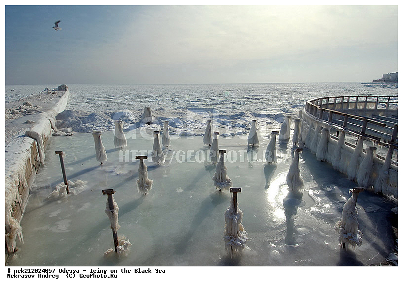 Black Sea, ������, �������������, ������ ����, �����, �����, �����, ����, ������������, ������������, �����, ���������, ������������, ����, ������, ������, ���, �������, �������, �������, �������, ������� ������, ����, ����, �����, �������, �������, ��������, �����������, ��������, ������, ����, ����, ������, ��������, �����������, �����������, �������, ���������, ���������, ������, ��������, ���� �������, ��������, ��������, ������, ������, �����, �����, ��������, ������, ������, ������������, ������������, �������