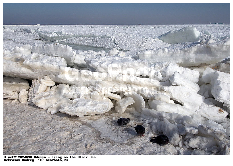 Black Sea, ������, �������������, ������ ����, �����, �����, �����, ����, ������������, ������������, �����, ���������, ������������, ����, ������, ������, ���, �������, �������, �������, �������, ������� ������, ����, ����, �����, �������, �������, ��������, �����������, ��������, ������, ����, ����, ������, ��������, �����������, �����������, �������, ���������, ���������, ������, ��������, ���� �������, ��������, ��������, ������, ������, �����, �����, ��������, ������, ������, ������������, ������������, �������
