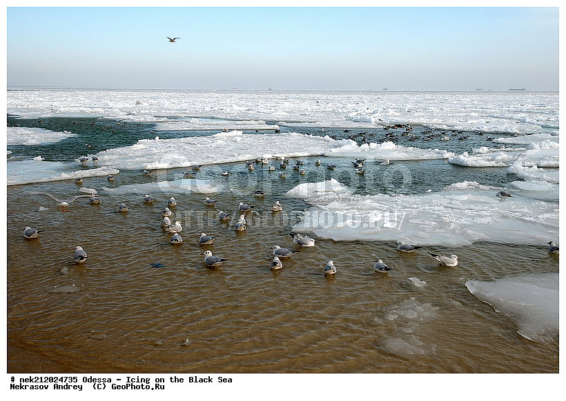 Black Sea, ������, �������������, ������ ����, �����, �����, �����, ����, ������������, ������������, �����, ���������, ������������, ����, ������, ������, ���, �������, �������, �������, �������, ����, ����, �����, �������, �������, ��������, �����������, ��������, ������, ����, ����, ������, ��������, �����������, �����������, �������, ���������, ���������, ������, �����, �����, ��������, ���� �������, ��������, ��������, ������, ������, �����, �����, ��������, ������, �����, �����, ������, ������������, ������������, �������