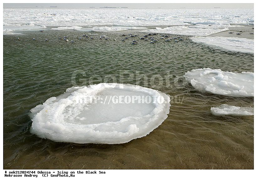 Black Sea, ������, �������������, ������ ����, �����, �����, �����, ����, ������������, ������������, �����, ���������, ������������, ����, ������, ������, ���, �������, �������, �������, �������, ����, ����, �����, �������, �������, ��������, �����������, ��������, ������, ����, ����, ������, ��������, �����������, �����������, �������, ���������, ���������, ������, ��������, ���� �������, ��������, ��������, ������, ������, ���������, �����, ��������, ���, �����, ��������, ������, ������, ������������, ������������, �������