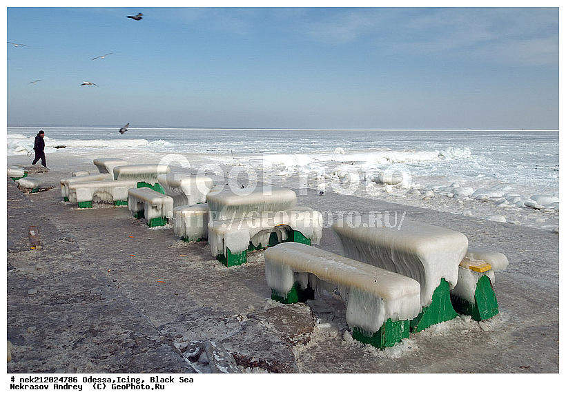 Black Sea, ������, �������������, ������ ����, ���, �����, �����, �����, ����, ������������, ������������, �����, ���������, ������������, ����, ������, ������, ����, ���, �������, �������, �������, �������, ����, ����, �����, �������, �������, ��������, �����������, ��������, ������, ����, ����, ������, ��������, �����������, �����������, �������, ���������, ���������, ������, ��������, ��������, ���� �������, ��������, ��������, ��������, ������, ������, ����, �����, �����, �������, �����, ��������, ������, ������, ������������, ������������, �������