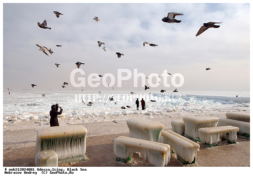 Black Sea, ������, �������������, ������ ����, ���, �����, �����, �����, ����, ������������, ������������, �����, ���������, ������������, ����, ������, ������, ����, �����, ������, ���, �������, �������, �������, �������, �����, �����, ����, ����, �����, �������, �������, �������, ����, ��������, �����������, ��������, ������, ����, ����, ������, ��������, �����, �����������, �����������, �������, ���������, ���������, ������, �����, �����, ��������, ��������, ���� �������, ��������, ��������, ��������, ������, ������, ����, �����, �����, �������, �����, ��������, ������, �����, �����, ������, ������������, ������������, �������