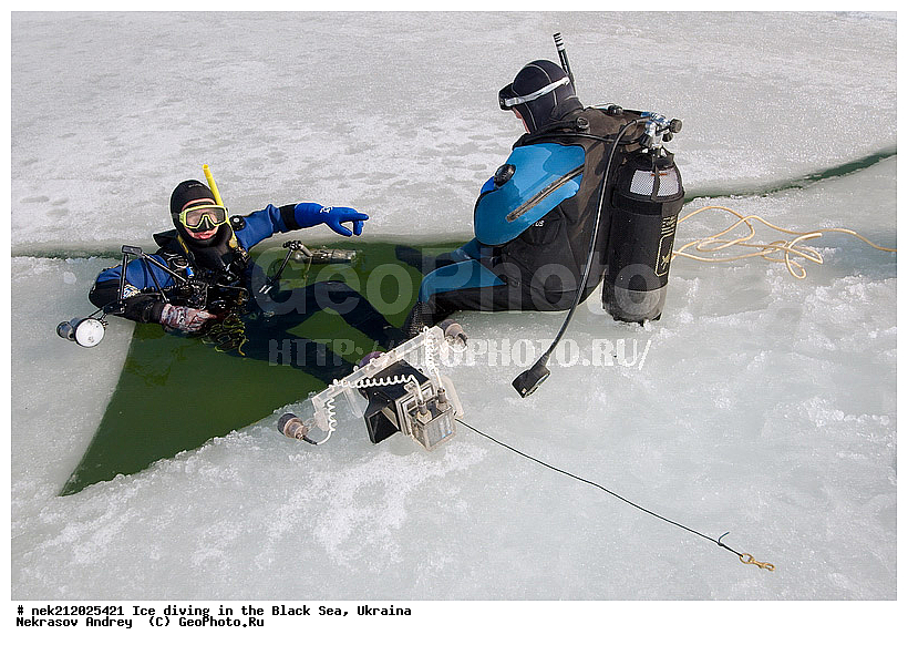 ����������, ������, ���������, �������, �������, ������, ������ ����, ������, ���-�������, �����������, ������������, ��������, ��������, ����, ������, �������, ��������, ������, �������, �������, ����������, ��������, ���������, ��������, ���������, �������, ����, ������, ������, ���, �������, ����, ����, ����, �������, �������, ����, �������, ��������, ��������, ������, ����, ��������, ��������, ���������, ���������, ����������, ������, ��������, �����, ����������, �����, ����������, ���������, ��������, �����, ������, ��������, �������, ������������, ������������, �������������, �������������, �������, �������