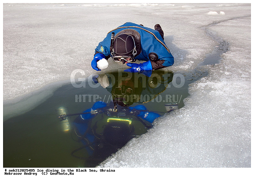 ����������, ������, ���������, �������, �������, ������, ������ ����, ������, ���-�������, �����������, ������������, ��������, ��������, ����, ������, �������, ��������, ������, �������, �������, ����������, ��������, ���������, ��������, ���������, �������, ����, ������, ������, ���, �������, ����, ����, ����, �������, �������, ����, �������, ��������, ��������, ������, ����, ��������, ��������, ���������, ���������, ����������, ������, ��������, �����, ����������, �����, ����������, ���������, ��������, �������������, �����, ������, ��������, �������, ������������, ������������, �������������, �������������, �������, �������