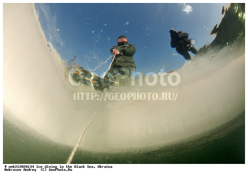 ����������, ������, ���������, �������, �������, ������, ������ ����, ������, ���-�������, �����������, ������������, ��������, ��������, ����, ������, �������, ��������, ������, �������, �������, ����������, ��������, ���������, ��������, ���������, �������, ����, ������, ������, ���, �������, ����, ����, ����, �������, �������, ����, �������, ��������, ��������, ������, ����, ��������, ��������, ���������, ���������, ����������, ������, ��������, �����, ����������, �����, ����������, ���������, �����, ������, ��������, �������, ������������, ������������, �������������, �������������, �������, �������