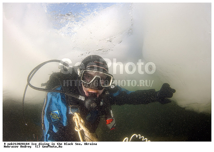 ����������, ������, ���������, �������, �������, ������, ������ ����, ������, ���-�������, �����������, ������������, ��������, ��������, ����, ������, �������, ��������, ������, �������, �������, ����������, ��������, ���������, ��������, ���������, �������, ����, ������, ������, ���, �������, ����, ����, ����, �������, �������, ����, �������, ��������, ��������, ������, ����, ��������, ��������, ���������, ���������, ����������, ������, ��������, �����, ����������, �����, ����������, ���������, �����, ������, ��������, �������, ������������, ������������, �������������, �������������, �������, �������