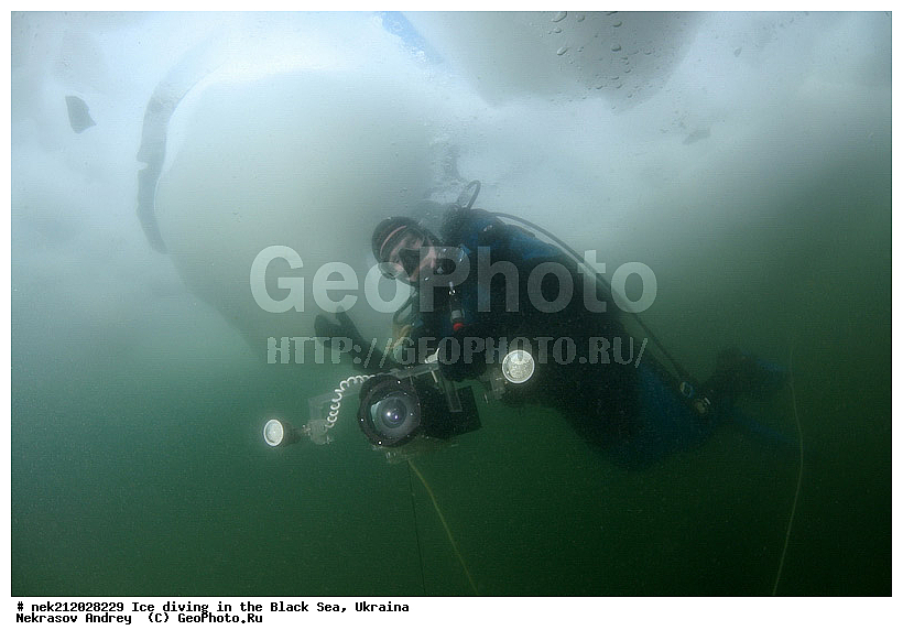 ����������, ������, ���������, �������, �������, ������, ������ ����, ������, ���-�������, �����������, ������������, ��������, ��������, ����, ������, �������, ��������, ������, �������, �������, ����������, ��������, ���������, ��������, ���������, �������, ����, ������, ������, ���, �������, ����, ����, ����, �������, �������, ����, �������, ��������, ��������, ������, ����, ��������, ��������, ���������, ���������, ����������, ������, ��������, �����, ����������, �����, ����������, ���������, �����, ������, ��������, �������, ������������, ������������, �������������, �������������, �������, �������