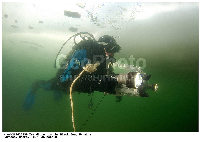 ����������, ������, ���������, �������, �������, ������, ������ ����, ������, ���-�������, �����������, ������������, ��������, ��������, �����-��������, �������������, ����, ������, �������, ��������, ������, �������, �������, ����������, ��������, ���������, ��������, ���������, �������, ����, ������, ������, ���, �������, ����, ����, ����, �������, �������, ����, �������, ��������, ��������, ������, ����, ��������, ��������, ���������, ���������, ����������, ������, ��������, �����, ����������, �����, ����������, ���������, �����, ������, ��������, �������, ������������, ������������, �������������, �������������, �������, �������