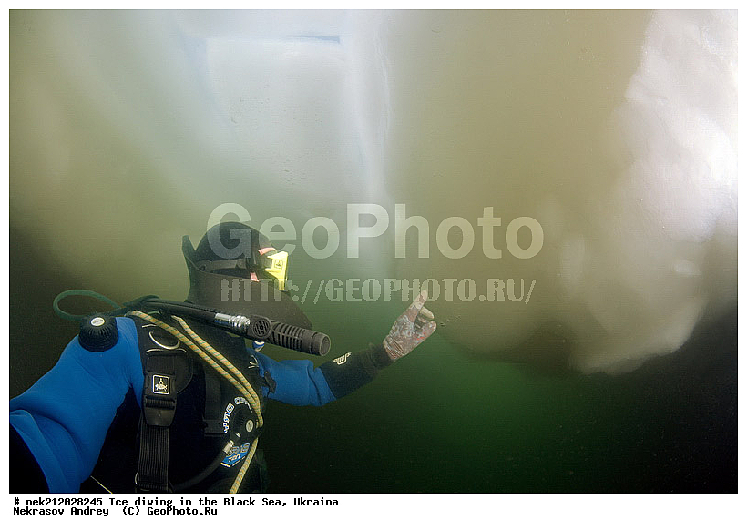 ����������, ������, ���������, �������, �������, ������, ������ ����, ������, ���-�������, �����������, ������������, ��������, ��������, ����, ������, �������, ��������, ������, �������, �������, ����������, ��������, ���������, ��������, ���������, �������, ����, ������, ������, ���, �������, ����, ����, ����, �������, �������, ����, �������, ��������, ��������, ������, ����, ��������, ��������, ���������, ���������, ����������, ������, ��������, �����, ����������, �����, ����������, ���������, �����, ������, ��������, �������, ������������, ������������, �������������, �������������, �������, �������