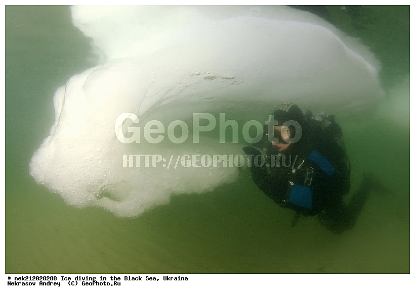 ����������, ������, ���������, �������, �������, ������, ������ ����, ������, ���-�������, �����������, ������������, ��������, ��������, ����, ������, �������, ��������, ������, �������, �������, ����������, ��������, ���������, ��������, ���������, �������, ����, ������, ������, ���, �������, ����, ����, ����, �������, �������, ����, �������, ��������, ��������, ������, ����, ��������, ��������, ���������, ���������, ����������, ������, ��������, �����, ����������, �����, ����������, ���������, �����, ������, ��������, �������, ������������, ������������, �������������, �������������, �������, �������