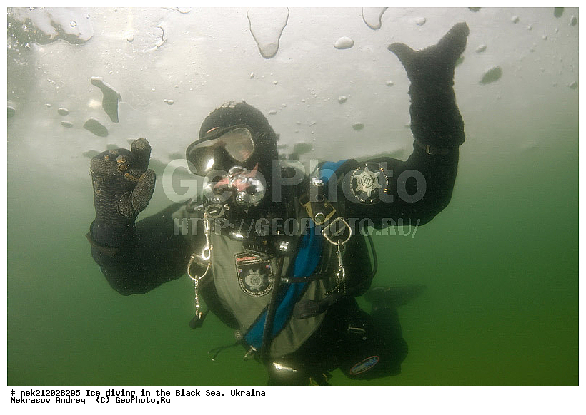 ����������, ������, ���������, �������, �������, ������, ������ ����, ������, ���-�������, �����������, ������������, ��������, ��������, ����, ������, �������, ��������, ������, �������, �������, ����������, ��������, ���������, ��������, ���������, �������, ����, ������, ������, ���, �������, ����, ����, ����, �������, �������, ����, �������, ��������, ��������, ������, ����, ��������, ��������, ���������, ���������, ����������, ������, ��������, �����, ����������, �����, ����������, ���������, �����, ������, ��������, �������, ������������, ������������, �������������, �������������, �������, �������