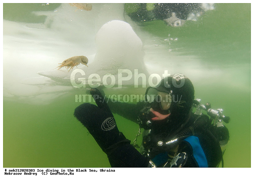 Astacus leptodactilus, ����������, ������, ���������, �������, �������, ������, ������ ����, ������, ���-�������, �����������, ������������, ��������, ��������, ����, ������, �������, ��������, ������ ����, ������, �������, �������, ����������, ��������, ���������, ��������, ���������, �������, ����, ������, ������, ���, �������, ����, ����, ����, �������, �������, ����, �������, ��������, ��������, ������, ����, ��������, ��������, ���������, ���������, ������������, ����������, ���, ��� � ����, ������������, ������, ��������, �����, ����������, �����, ����������, ���������, �����, ������, ��������, �������, ������������, ������������, �������������, �������������, �������, �������, ������� � ��������� ���, ������� � �������