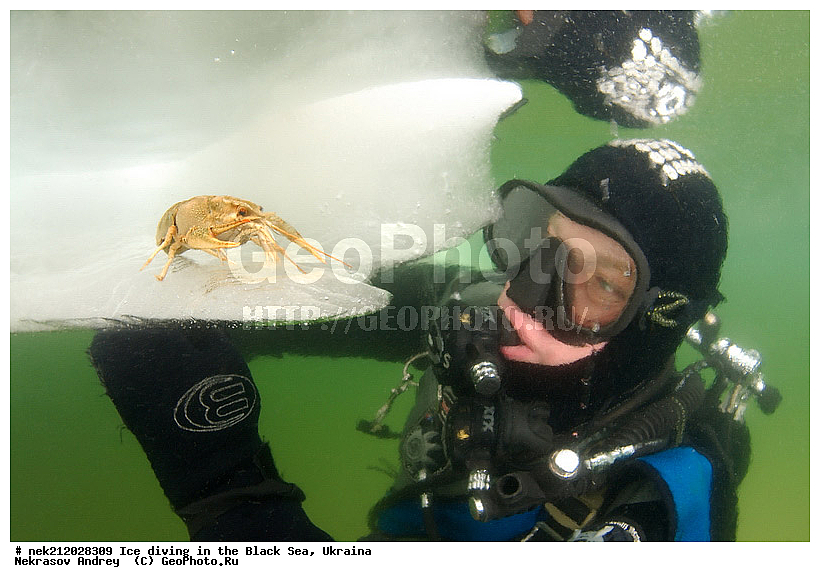 Astacus leptodactilus, ����������, ������, ���������, �������, �������, ������, ������ ����, ������, ���-�������, �����������, ������������, ��������, ��������, ����, ������, �������, ��������, ������ ����, ������, �������, �������, ����������, ��������, ���������, ��������, ���������, �������, ����, ������, ������, ���, �������, �����, ����, ����, ����, �������, �������, ����, �������, ��������, ��������, ������, ����, ��������, ��������, ���������, ���������, ������������, ����������, ���, ��� � ����, ������������, ������, ��������, �����, ����������, �����, ����������, ���������, �����, ������, ��������, �������, ������������, ������������, �������������, �������������, �������, �������, ������� � ��������� ���, ������� � �������