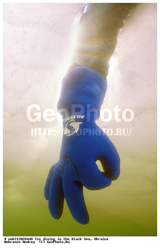 ok, okay, silvers, ����������, ������, ���������, �������, �������, ������, ������ ����, ������, ���-�������, �����������, ������������, ��������, ��������, ����, ������, �������, ����������, ��������, ��� � �������, ������, �������, �������, ����������, ��������, ���������, ��������, ���������, �������, ����, ������, ������, ����, ���, �������, ����, ����, ����, �������, �������, ����, �������, ��������, ��������, ������, ����, ��������, ��������, ���������, ���������, ����������, ������, �������, ��������, ������, �����, ����������, �����, ����������, ���������, �����, ������, ��������, �������, ������������, ������������, �������������, �������������, �������, �������