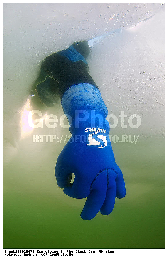 ok, okay, silvers, ����������, ������, ���������, �������, �������, ������, ������ ����, ������, ���-�������, �����������, ������������, ��������, ��������, ����, ������, �������, ����������, ��������, ��� � �������, ������, �������, �������, ����������, ��������, ���������, ��������, ���������, �������, ����, ������, ������, ����, ���, �������, ����, ����, ����, �������, �������, ����, �������, ��������, ��������, ������, ����, ��������, ��������, ���������, ���������, ����������, ������, �������, ��������, ������, �����, ����������, �����, ����������, ���������, �����, ������, ��������, �������, ������������, ������������, �������������, �������������, �������, �������