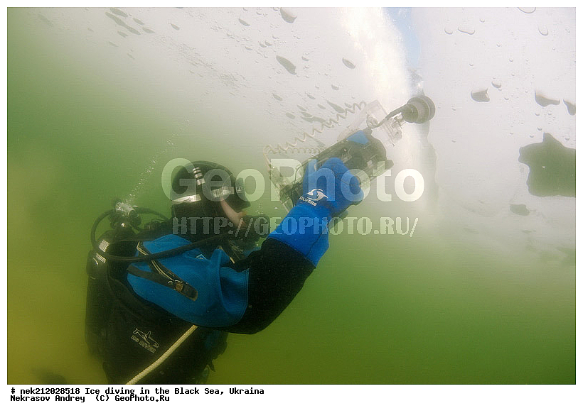 ����������, ������, ���������, �������, �������, ������, ������ ����, ������, ���-�������, �����������, ������������, ��������, ��������, �����-��������, �������������, ����, ������, �������, ��������, ������, �������, �������, ����������, ��������, ���������, ��������, ���������, �������, ����, ������, ������, ���, �������, ����, ����, ����, �������, �������, ����, �������, ��������, ��������, ������, ����, ��������, ��������, ���������, ���������, ����������, ������, ��������, �����, ����������, �����, ����������, ���������, �����, ������, ��������, �������, ������������, ������������, �������������, �������������, �������, �������