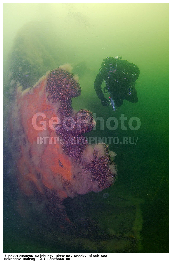 9 ���, ���, ���������, ����, �������, ������, ������, ��������, ���������, ���������������, ����������, ����, �, ����, ������, ������, ������, �����, �������, �����, ����� �� ����, �����, ������, ������, �������, ���� ������, ���, ����������, ����������, ����������, ���������� ������, �����������, ������������, �������, ����, ���������������, �������, ��������, ��������, ����, �������, ��, �������, �������, ��������, ������, ������, �������� �������, ��������, ������, ���, ���������, ��������� ����������, ���������, ���������, ���������, ��������� ���, ���������, ��� �����, ���, ���, ���-�������, ����, �����, ��������, ����, ������������, ������������, ������������, �������, ��������, 9 ���, �������� ���������, ��������, 2300, �������������, �������������, �������, �������, ��������, �������������, ���������� �����