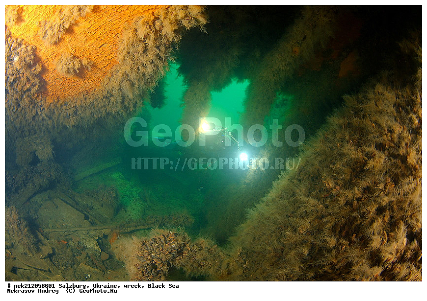 9 ���, ���, ���������, ����, �������, ������, ������, ��������, ���������, ���������������, ����������, ����, �, ����, ������, ������, ������, �����, �������, �����, ����� �� ����, �����, ������, ������, �������, ���� ������, ���, ����������, ����������, ����������, ���������� ������, �����������, ������������, �������, ����, ���������������, �������, ��������, ��������, ����, �������, ��, �������, �������, ��������, ������, ������, �������� �������, ��������, ������, ���, ���������, ��������� ����������, ���������, ���������, ���������, ��������� ���, ���������, ��� �����, ���, ���, ���-�������, ����, �����, ��������, ����, ������������, ������������, ������������, �������, ��������, 9 ���, �������� ���������, ��������, 2300, �������������, �������������, �������, �������, ��������, �������������, ���������� �����