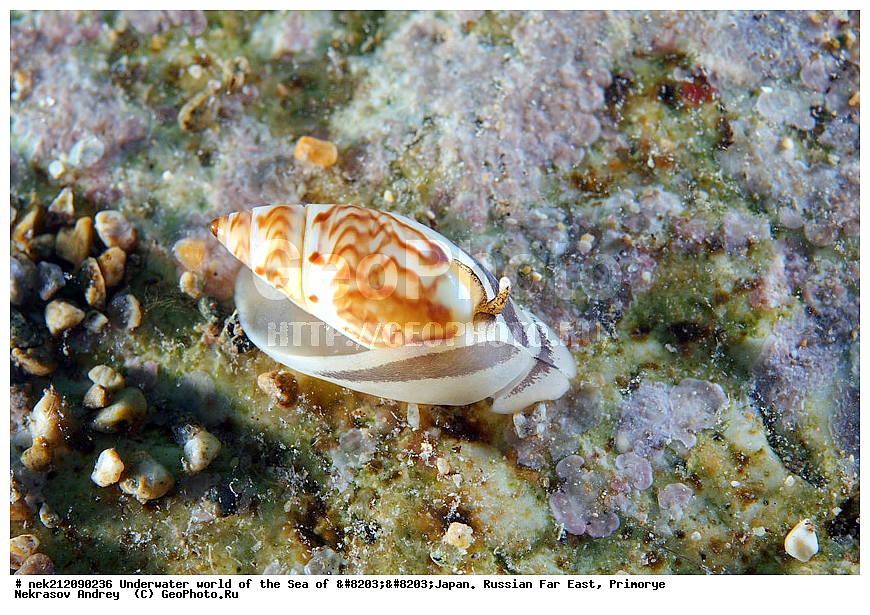 ��������� ���, ��������, ����, ������� ������, ��������, ���������, �������, diving, dive, ������������,  ����������, ���������, ������, ���������, ���, �����, ����, �������, ����������, ����, ������, ������, �����, ������, ������, ��������, �������, ����, ������, ����, �����, ������, ��, ������, ������, ��, ���, ���������, ���������, �������, ��������� ���, �������,  ���������, ������, ����������, ����������, ������, ������,  ���, ��������, ��������� ������, �������, ��������, ��������, ����� �������, ���������� ����, ��������, ����, ��������� ����, ���������, ���������, , �������, ��������, ����������, ������, �������� , �������� ����, �������� ����, ��������� ����, ���������������, ����������, ����������, ����������, ���������������, ����� ������, ����� �����, �������������, �������������, �����������