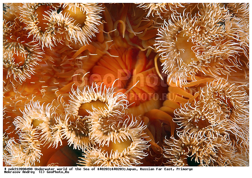 ��������� ���, ��������, ����, ������� ������, ��������, ���������, �������, diving, dive, ������������,  ����������, ���������, ������, ���������, ���, �����, ����, �������, ����������, ����, ������, ������, �����, ������, ������, ��������, �������, ����, ������, ����, �����, ������, ��, ������, ������, ��, ���, ���������, ���������, �������, ��������� ���, �������,  ���������, ������, ����������, ����������, ������, ������,  ���, ��������, ��������� ������, �������, ��������, ��������, ����� �������, ���������� ����, ��������, ����, ��������� ����, ���������, ���������, , �������, �������, �������, ���������, ����������, ������, �������
, �������, �������, ������, �������, �������� ����, �������� ����, ��������� ����, ���������������, ����������, ����������, ����������, ���������������, ����� ������, ����� �����, �������������, �������������, �����������