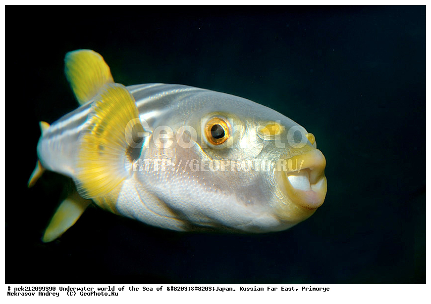 ��������� ���, ��������, ����, ������� ������, ��������, ���������, �������, diving, dive, ������������,  ����������, ���������, ������, ���������, ���, �����, ����, �������, ����������, ����, ������, ������, �����, ������, ������, ��������, �������, ����, ������, ����, �����, ������, ��, ������, ������, ��, ���, ���������, ���������, �������, ��������� ���, �������,  ���������, ������, ����������, ����������, ������, ������,  ���, ��������, ��������� ������, �������, ��������, ��������, ����� �������, ���������� ����, ��������, ����, ��������� ����, ���������, ���������, , ���������, ����������, ������-����, ��������, ����-������, ������, ����, �������� ����, �������� ����, ��������� ����, ���������������, ����������, ����������, ����������, ���������������
, ����� ������, ����� �����, �������������, �������������, �����������