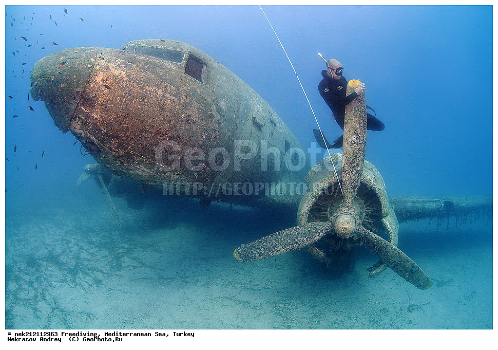 ����������,�����������, ������,  C 47, C 47 A, C-53, DC-3, R4D, ������, ������, ���, �����������, ������, ���������, �����, ������, �������������������, ����, ������, �������, �������, �������, �������, �������, ����, ������, �������, ������, ������, �������� �������, ����, ������, ������, ������, ���������, ������, ������, ������������, ��������, ������, ��� �����, ���������, ���������, ���������, ��������� ���, ���, �������, �����, ���������, �����, ����������, ���������, ������������, ���, ���-�������, ���������, ����������, �����������, ������������, �����������, �������������, �������, ����������, ��������������, ����, ����������, DC-3, Skytrain , ���������� �����