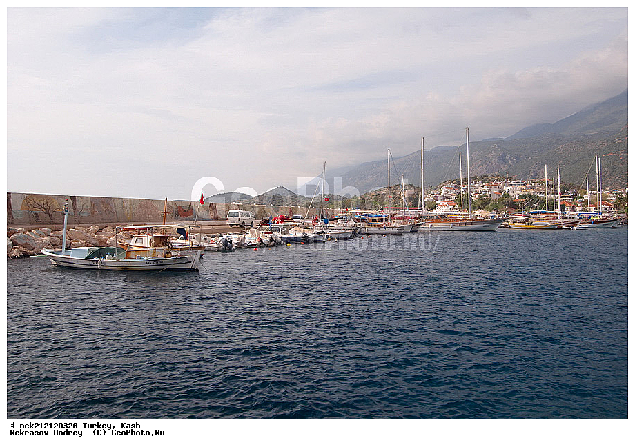 ������, ��� , ������, ���, ����, ��������, ������, �����, ������, �����������, ����, �����, ����, �����������, �����, �������, �������, �����, �������, ����, ����, ������