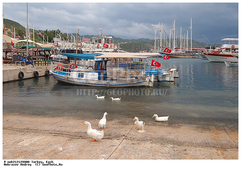 ������, ��� , ������, ���, ����, ��������, ������, �����, ������, �����������, ����, �����, ����, �����������, �����, �������, �������, �����, �������, ����, ����, ������, �����, ����, ����