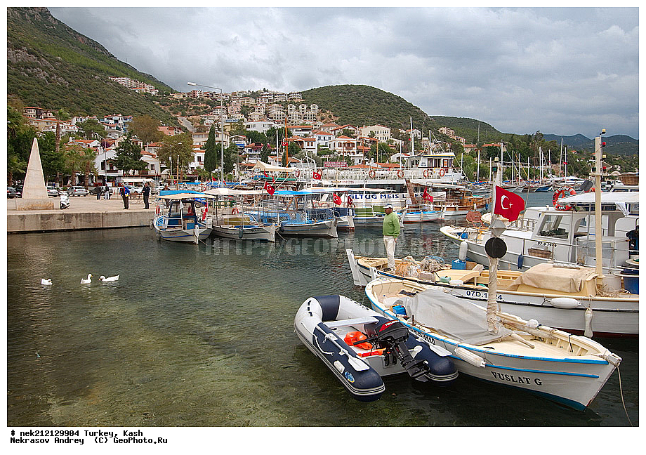 ������, ��� , ������, ���, ����, ��������, ������, �����, ������, �����������, ����, �����, ����, �����������, �����, �������, �������, �����, �������, ����, ����, ������