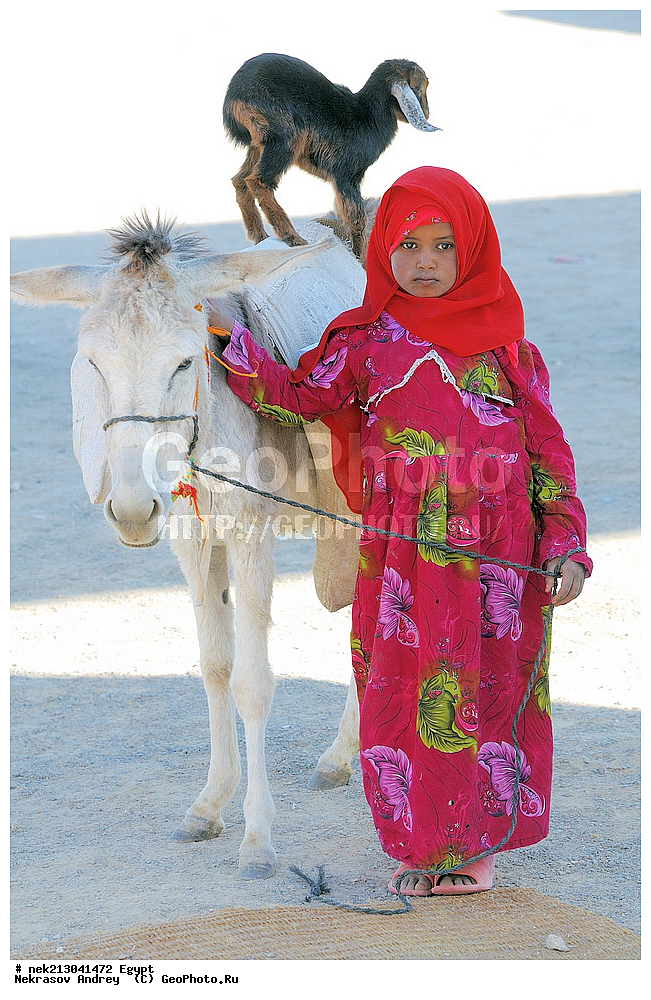 ������, �������, ����������, �������, ��������, ������, ������, �������, ��������, ����������, �������, ���������, �������, ����, ������, ����, � ������������, ������, ������������, ������������, ������, �����, ������, ��������, ��������, ��������, ��������, ����, �������, ����, �����, , �����, ����, ������