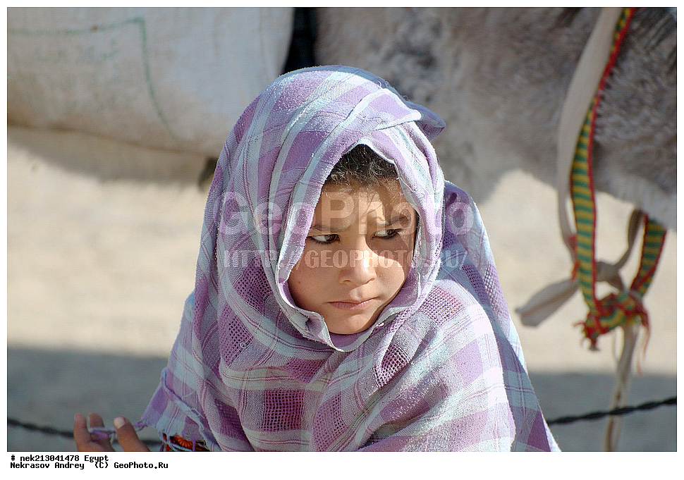 ������, �������, ����������, �������, ��������, ������, ������, �������, ��������, ����������, �������, ���������, �������, ����, ������, ����, � ������������, ������, ������������, ������������, ������, �����, ������