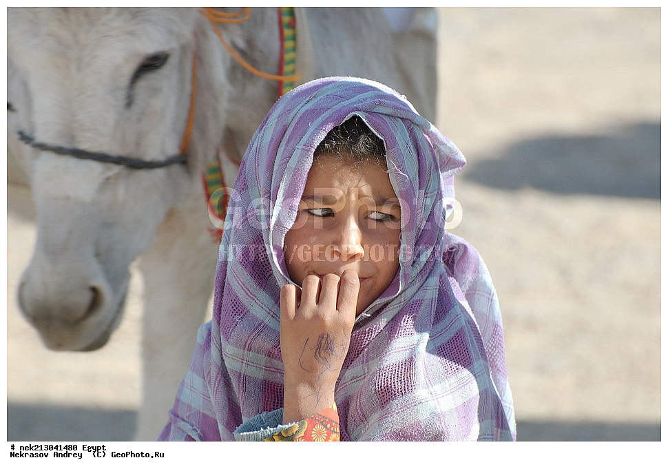 ������, �������, ����������, �������, ��������, ������, ������, �������, ��������, ����������, �������, ���������, �������, ����, ������, ����, � ������������, ������, ������������, ������������, ������, �����, ������, ��������, ��������, ��������, ��������, ����, �������, ����, �����, 