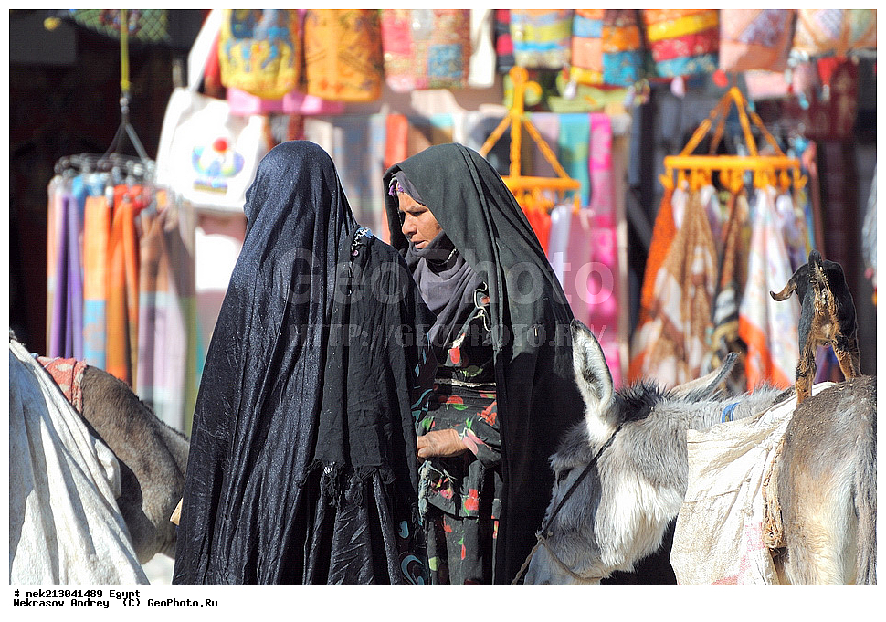 ������, �������, ����������, ��������, ��������, ������, ������, ��������, ����������, ������, � ������������, ������, ������������, ������������, ������, �����, ������, ���, ����, ������,2, �����, �����