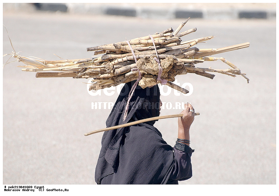 ������, �������, ��������, �����, ��, ������ �������� ��������, ������, ������, ��������, ��������, ���������, ����, ����������, �������, ����