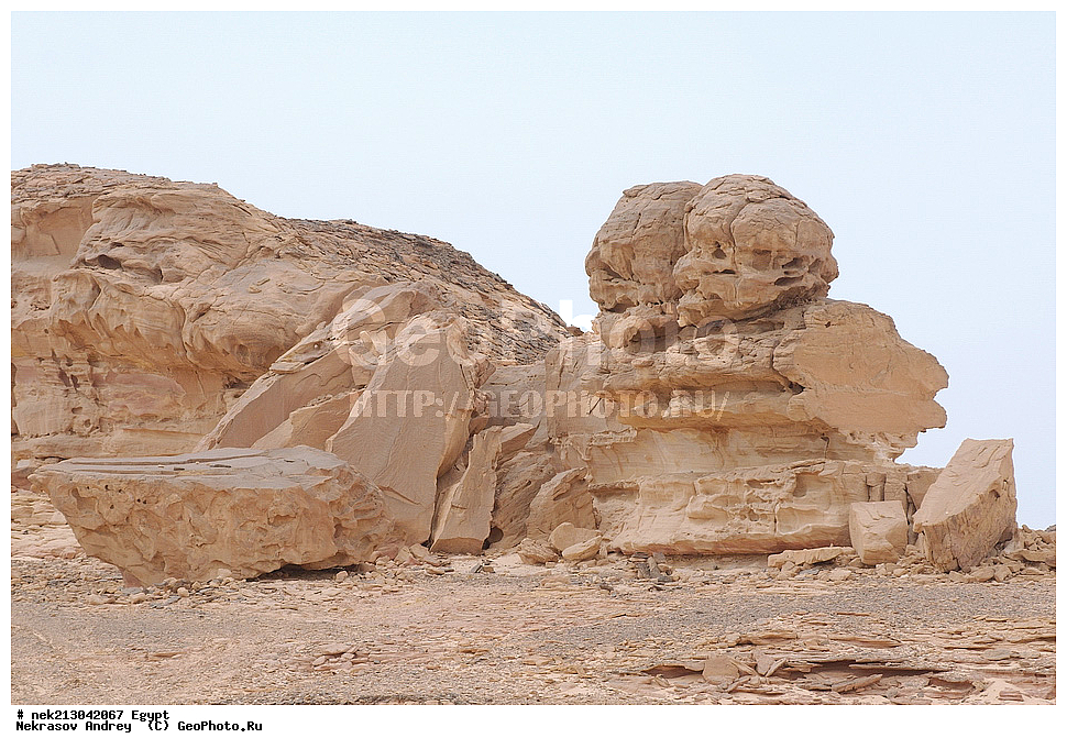 ������, ����������, �����, ���������, ����, ����, ������, ������, ������, �������, �����, �����, ���������, �����, 2, ���, ���, ������, �����, ������, ������, �����