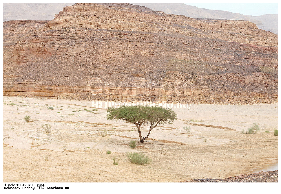 ������, ����������, �����, ���������, ����, ����, ������, ������, ������, �������, �����, �����, ���������, ��������, ��������, ��������, ������, ��������, 