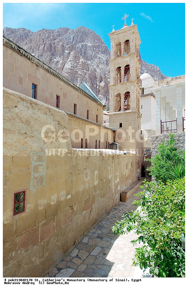 ���������, ������ ���������, ��������� ���������������, ���������, ������, ���������, ���������, ����������, �����, �������, �����������, ������������, ������������, ������������, ����, �������, �������, �����������, ��������, ��, ������������, �����������, �������������, ��������, ������, ����, �������, ����, �������, �����, ���������, ���, �������