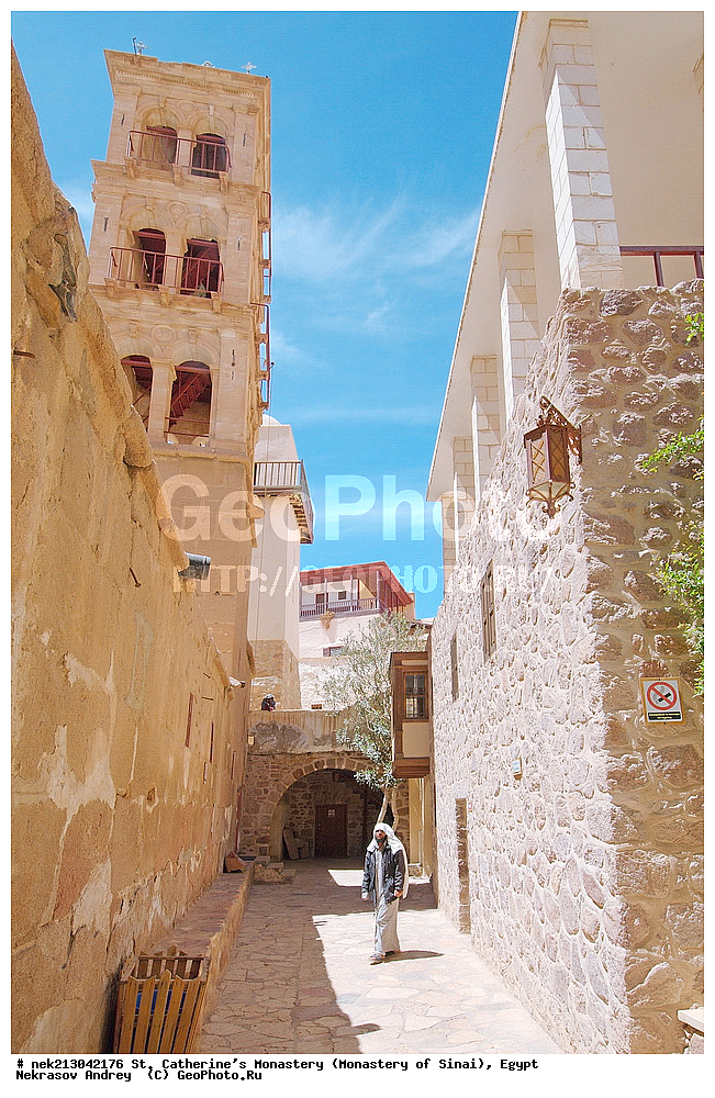 ���������, ������ ���������, ��������� ���������������, ���������, ������, ���������, ���������, ����������, �����, �������, �����������, ������������, ������������, ������������, ����, �������, �������, �����������, ��������, ��, ������������, �����������, �������������, ��������, ������, ����, �������, ����, �������, �����, ���������, ���, �������