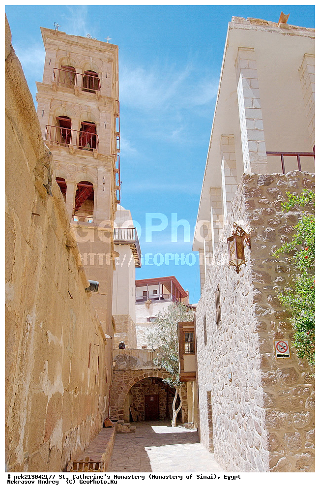 ���������, ������ ���������, ��������� ���������������, ���������, ������, ���������, ���������, ����������, �����, �������, �����������, ������������, ������������, ������������, ����, �������, �������, �����������, ��������, ��, ������������, �����������, �������������, ��������, ������, ����, �������, ����, �������, �����, ���������, ���, �������