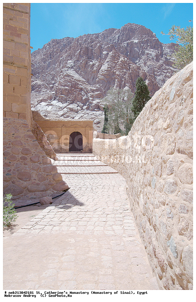 ���������, ������ ���������, ��������� ���������������, ���������, ������, ���������, ���������, ����������, �����, �������, �����������, ������������, ������������, ������������, ����, �������, �������, �����������, ��������, ��, ������������, �����������, �������������, ��������, ������, ����, �������, ����, �������, �����, ���������, ���, �������