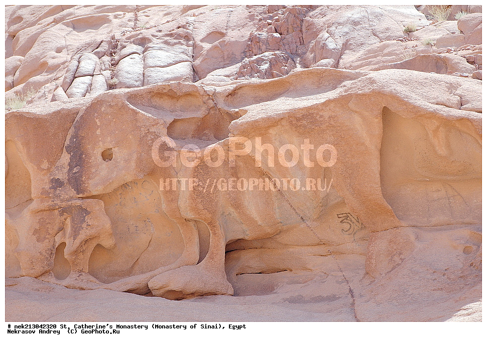 ���������, ������ ���������, ��������� ���������������, ���������, ������, ���������, ���������, ����������, �����, �������, �����������, ������������, ������������, ������������, ����, �������, �������, �����������, ��������, ��, ������������, ������, ��, �������, �������, ����, ���������, ������, ����, �����, �, �����, �����, ���������,  ������ � �����, �������, ������, �����, ��, �, ���������, ������, �����, �����, ������, ��������, ����������, ���������, ���������, �����, ����, ���, ��������, �������, �������, �����, ������, ������, ����� � ���������, ������