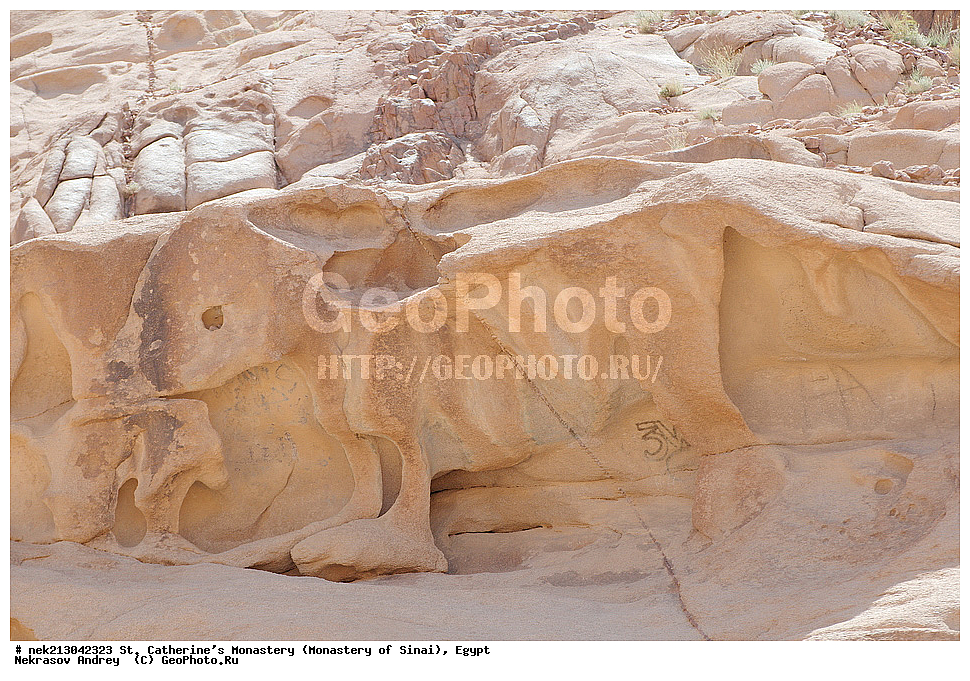 ���������, ������ ���������, ��������� ���������������, ���������, ������, ���������, ���������, ����������, �����, �������, �����������, ������������, ������������, ������������, ����, �������, �������, �����������, ��������, ��, ������������, ������, ��, �������, �������, ����, ���������, ������, ����, �����, �, �����, �����, ���������,  ������ � �����, �������, ������, �����, ��, �, ���������, ������, �����, �����, ������, ��������, ����������, ���������, ���������, �����, ����, ���, ��������, �������, �������, �����, ������, ������, ����� � ���������, ������