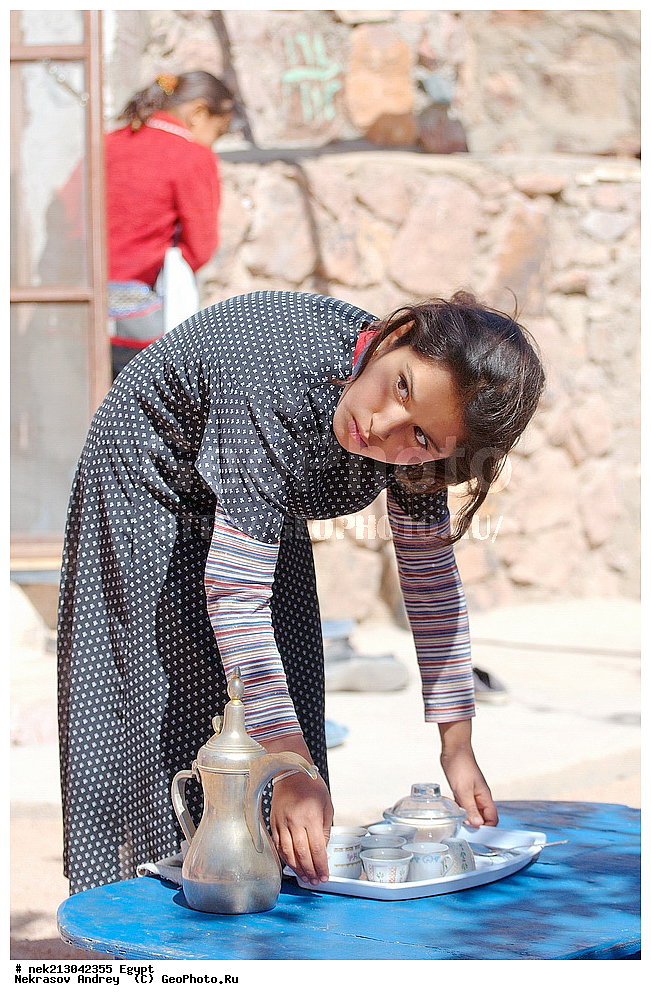 ������, �����������, ��������, ��������� ����������, ������, �������, ����������, �������, �������, �������, �����, ������, �����, ������, �������, ���, �������, ����