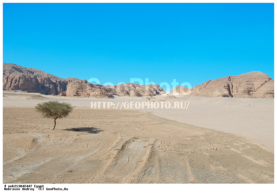 ������, ����������, �����, ���������, ����, ����, ������, ������, ������, �������, �����, �����, ���������, ��������, ��������, ��������, ������, ��������, 