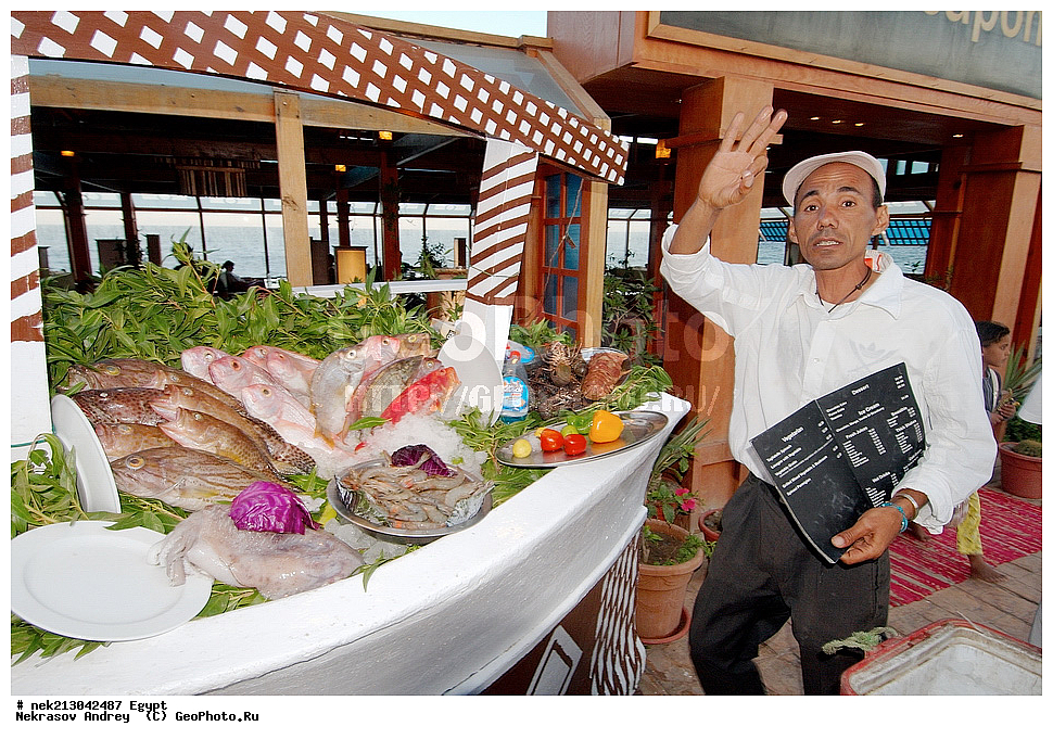 ������, �����, ������ ��������, ��������, ��������, ��������, ��������, ��������, �, ������, �����������, ���, ����, �������, �������,