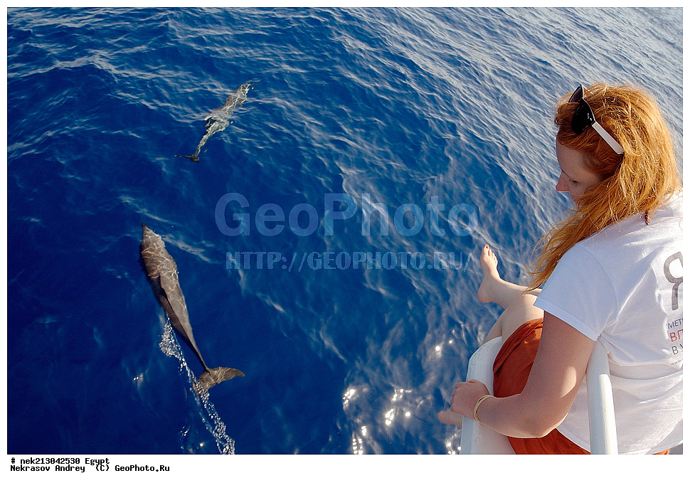 ������, ����-���-����, ����-���-����, ����-���-����, ����-��-����, ����-��-����, ����������, �����, �����, �����������, �������, ������, ��, ���������, ��������, �������, ����������, ������������, ������, �������, ����, ����, ������� ����, �������