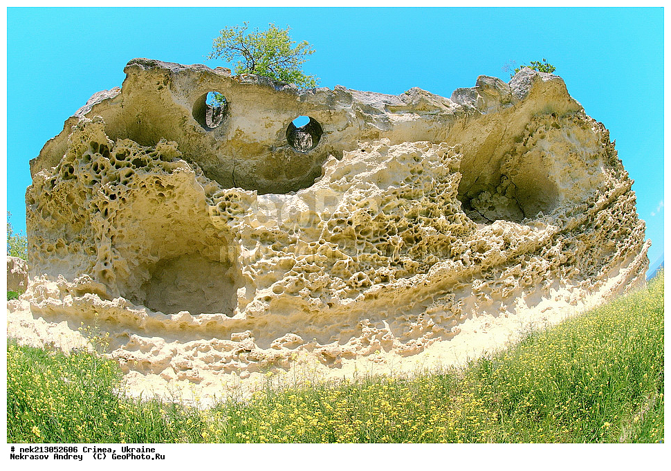 ����, �������, �������� �����, �����, ������, ��������, �����, ���������, �������, ��������, ������, ���������, �����������, �������, ������������, ��������, �������������� �����, ������������, ��������, �������� ������ �����, �������� �����, �����, �����, �������, ���, ����, ������� �����, ������� ����, ���������
, ��������, �, ������, ���������, ���������
