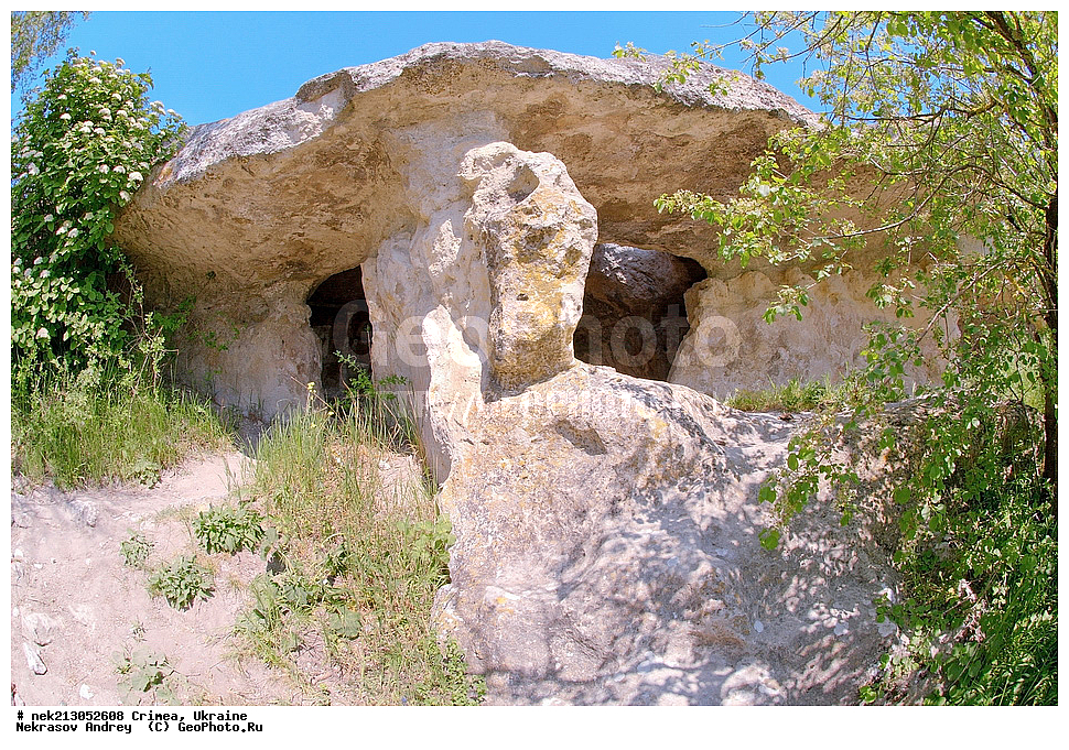 ����, �������, �������� �����, �����, ������, ��������, �����, ���������, �������, ��������, ������, ���������, �����������, �������, ������������, ��������, �������������� �����, ������������, ��������, �������� ������ �����, �������� �����, �����, �����, �������, ���, ����, ������� �����, ������� ����, ���������
, ������� �����, �����, ����